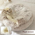  Coffee plush 80cm